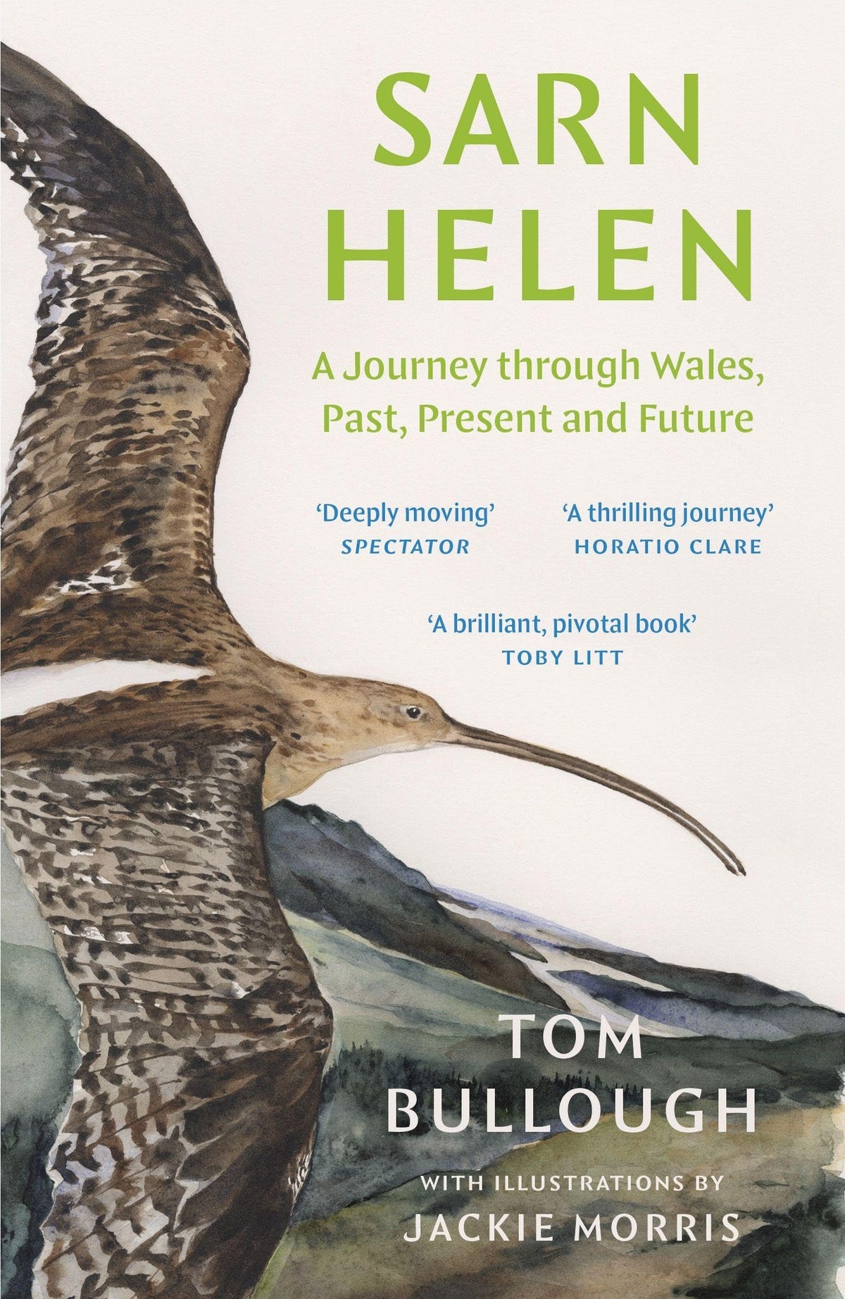 Sarn Helen: A Journey Through Wales, Past, Present and Future - Tom Bullough