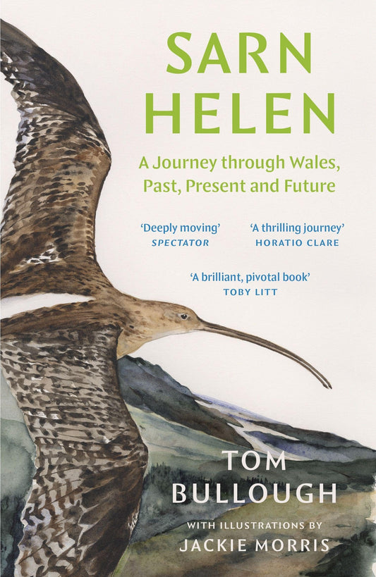 Sarn Helen: A Journey Through Wales, Past, Present and Future - Tom Bullough