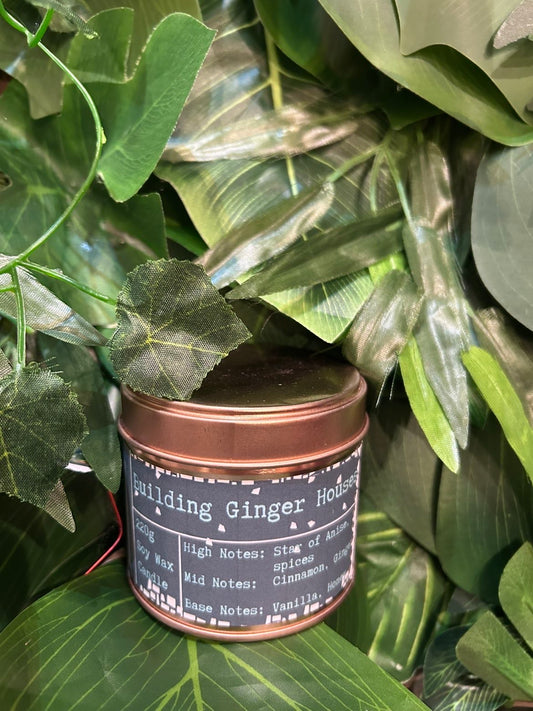 Building Ginger Houses (200g Candle)